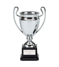 European cup style trophy on black base