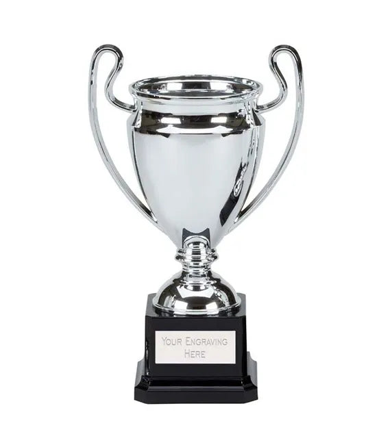 European cup style trophy on black base